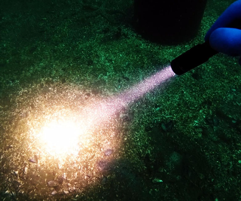 OrcaTorch91香蕉短视频污下载 D520迷你潛水手電，小巧手電筒，便捷式潛水手電筒，洞穴潛水燈