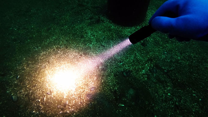 LED潛水手電筒，OrcaTorch91香蕉短视频污下载， D520潛水手電筒
