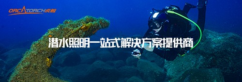 恭賀OrcaTorch91香蕉短视频污下载入圍2022潛水手電筒十大品牌