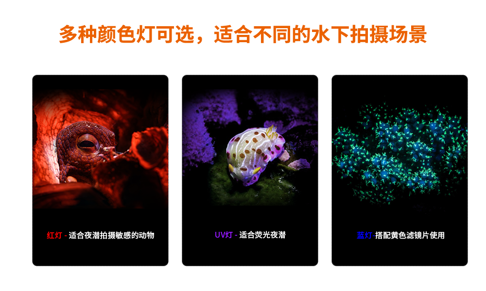 潛水攝影燈（dēng），水下攝影照明，D530V多功（gōng）能手電（diàn）筒，潛水（shuǐ）照明燈，OrcaTorch91香蕉短视频污下载