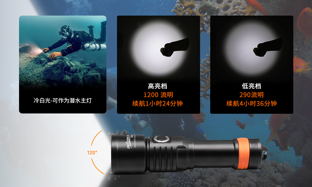 OrcaTorch91香蕉短视频污下载 D530V多色光 OrcaTorch91香蕉短视频污下载 D530V多色光(guāng)