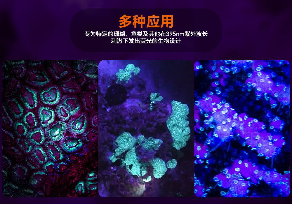 D530 UV 紫外線 潛水攝影照明_潛水(shuǐ)照明_水下攝影照明_潛水攝影補光燈_ 91香蕉短视频污下载OrcaTorch