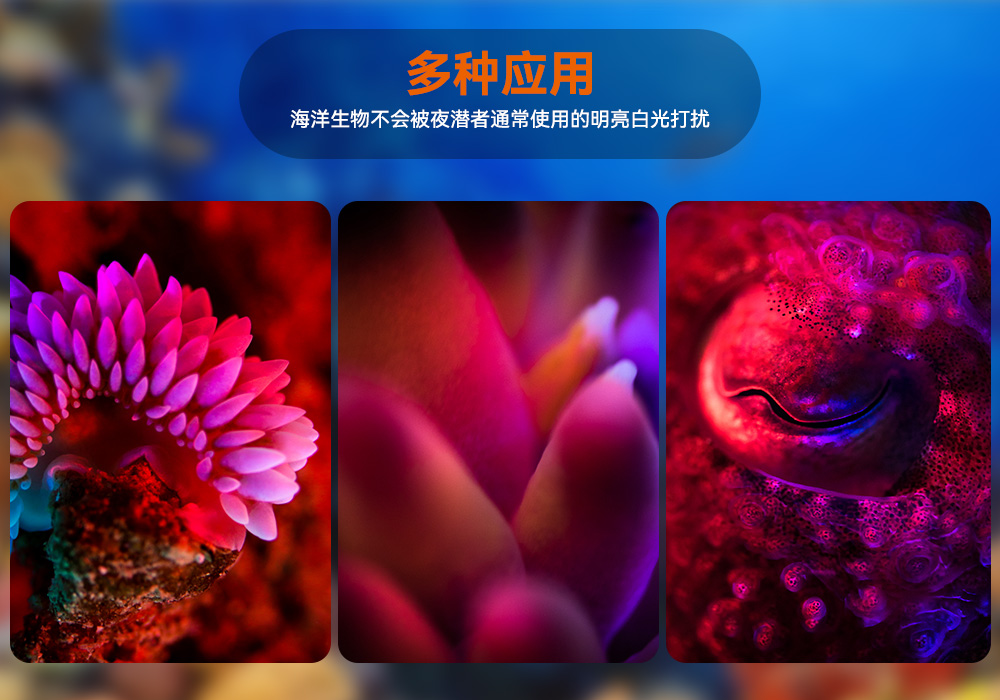 D530 紅色潛水手電 潛水攝影(yǐng)照明_潛水照(zhào)明_水下攝影照明_潛水攝影補光燈_ 91香蕉短视频污下载OrcaTorch