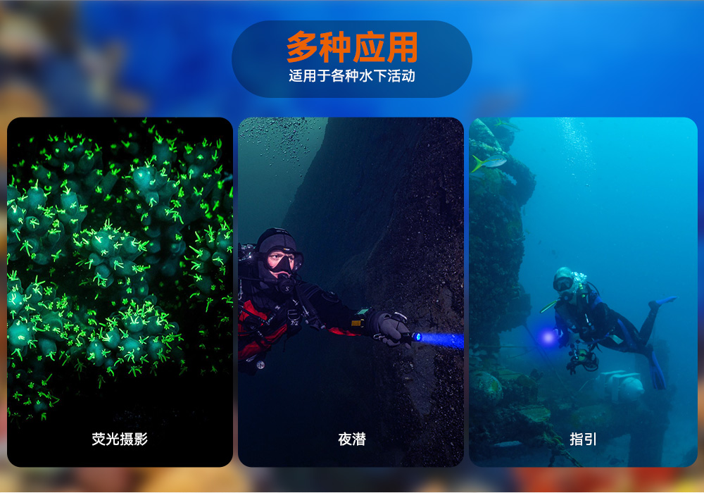 D530藍光手電筒 潛水攝影照明_潛水照明_水下攝影照明_潛水攝影補(bǔ)光燈_ 虎(hǔ)鯨OrcaTorch