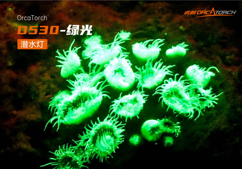 D530 綠色潛水手電(diàn) 潛水(shuǐ)攝影照明_潛水照明_水下攝影照明_潛水攝影補光燈_ 91香蕉短视频污下载OrcaTorch