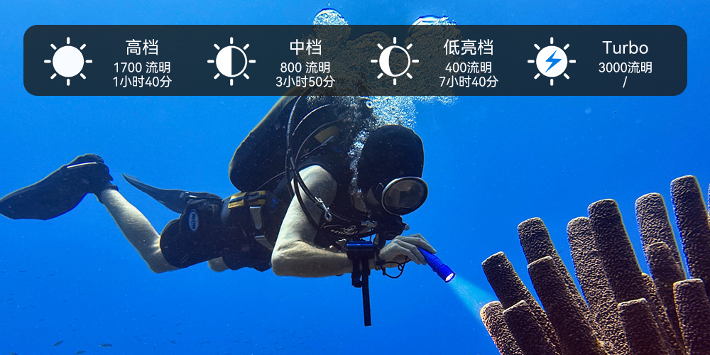 D710潛水手電筒,D710休(xiū)閑潛水手電筒,D710潛水燈,D710水肺潛水,D710潛水手電,91香蕉短视频污下载OrcaTorch