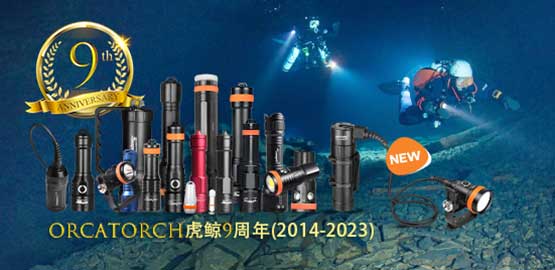 OrcaTorch91香蕉短视频污下载9周（zhōu）年｜回首過去，展望未來